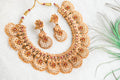 Amodini Traditional designer necklace set